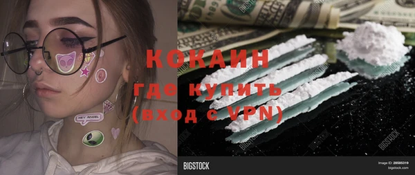 прущий лед Алзамай