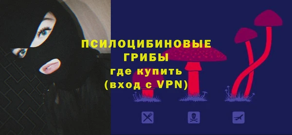 прущий лед Алзамай