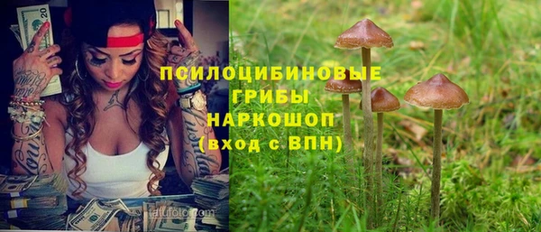винт Алексеевка