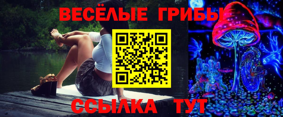 Махачкала  Псилоцибиновые грибы прущие грибы  Вход с VPN 
