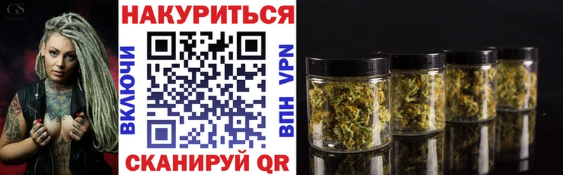 купить закладку  Махачкала  Конопля ГИДРОПОН 
